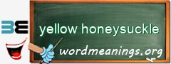 WordMeaning blackboard for yellow honeysuckle